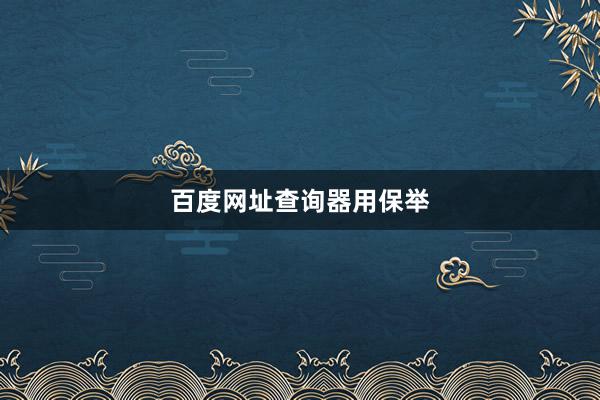 百度网址查询器用保举